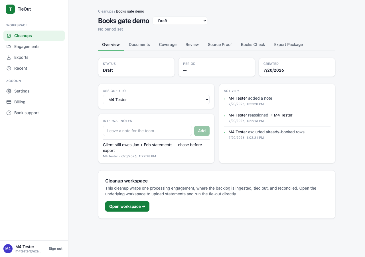 TieOut cleanup workspace overview showing real product navigation, status, notes, and activity.